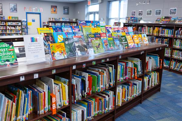 Bookshelves in a library